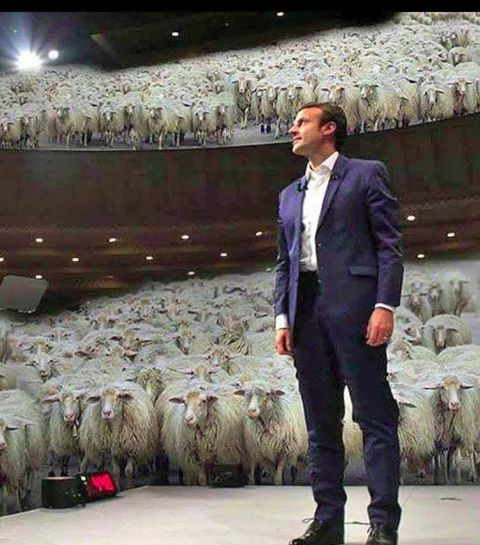 Macron-mouton.jpg